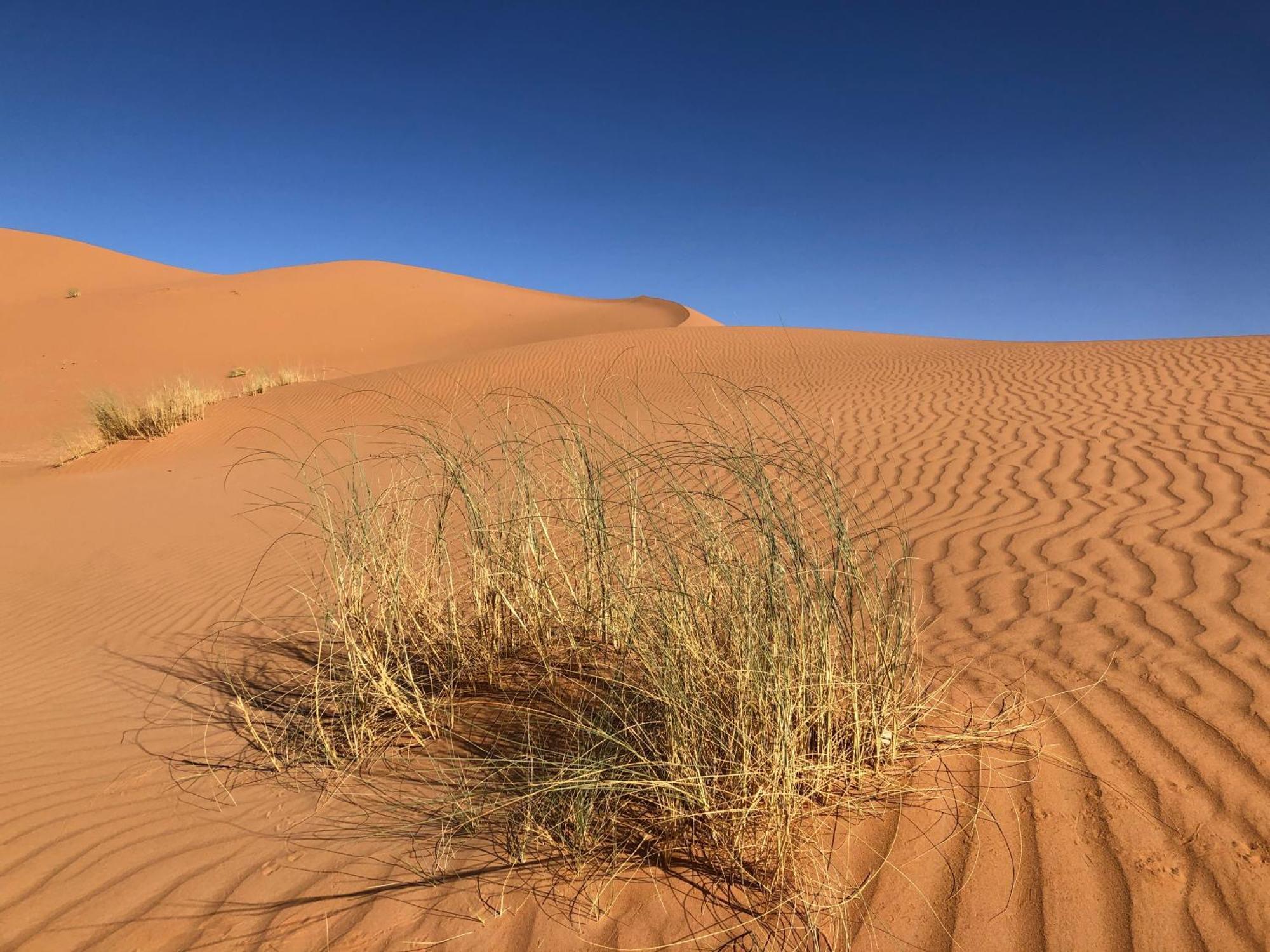 Bivouac Le Petit Prince Merzouga Exterior photo